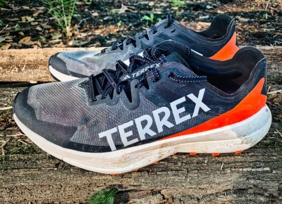 Picture of adidas Terrex Agravic Speed