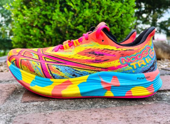 Picture of ASICS Noosa Tri 15