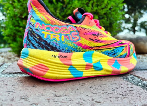 Picture of ASICS Noosa Tri 15