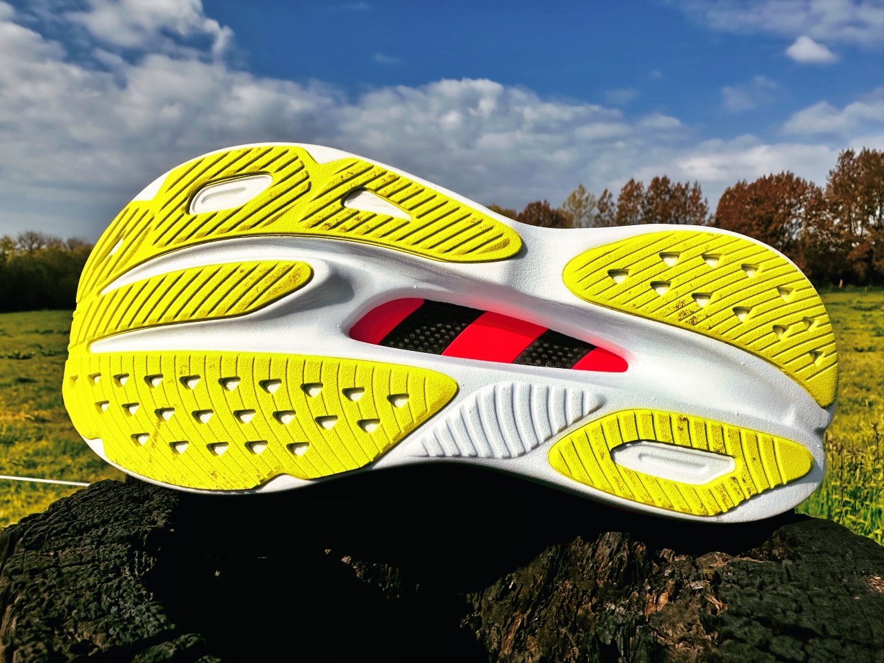 Picture of Hoka Skyward X