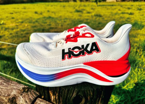 Picture of Hoka Skyward X