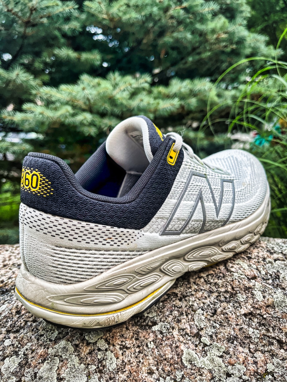 Picture of New Balance Fresh Foam X 860 v14