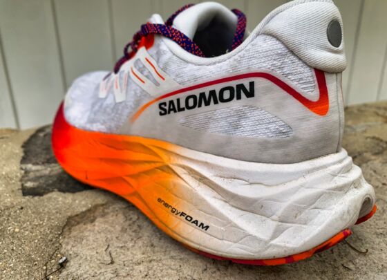 Picture of Salomon Aero Glide 2