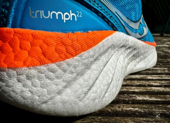 Picture of Saucony Triumph 22